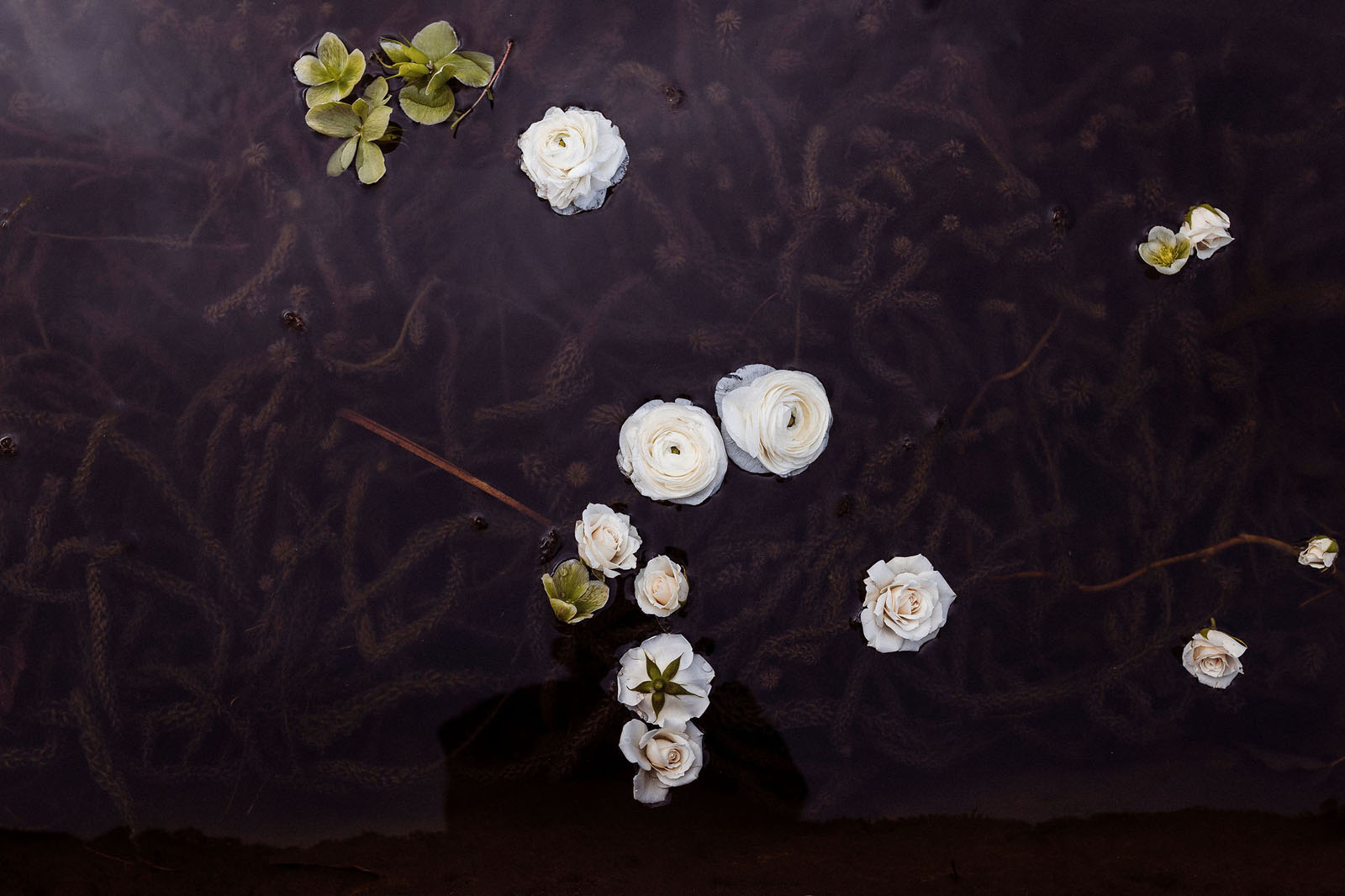 wedding styling photoshoot from Cumbria with seasonal spring florals and timeless design captured by Cumbrian wedding photographer Mark Battista