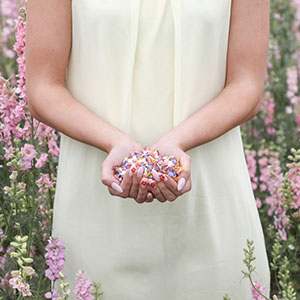 real petal confetti in the UK by Shropshire Petals free wedding supplier directory listing