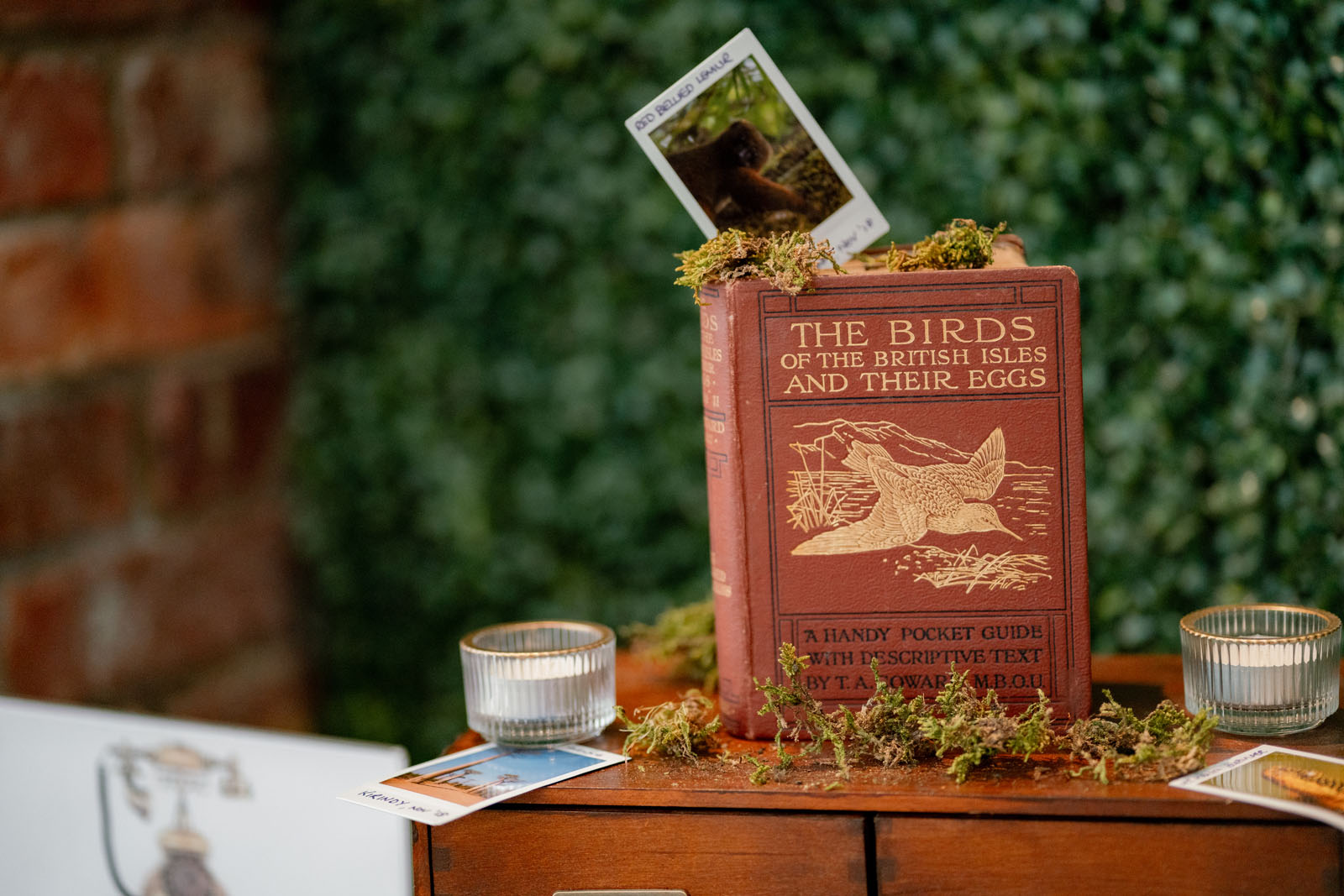 Summer wedding at Northbrook Park with Cat Brant Photography