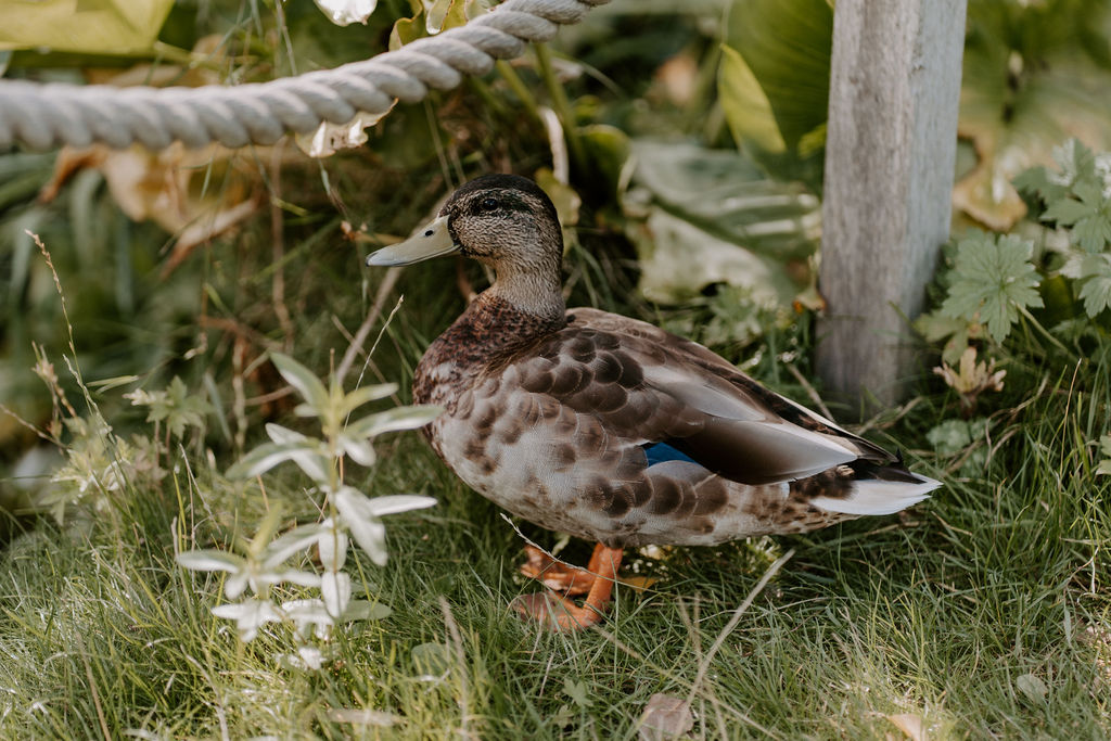 South Farm Hertfordshire real wedding with Shell O'Toole Photography