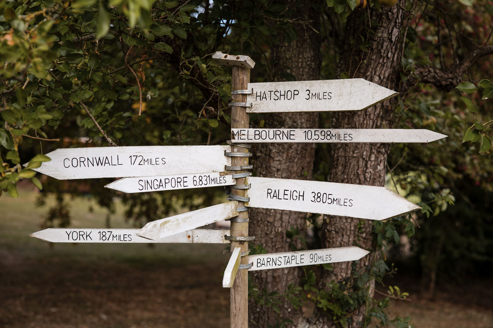 garden marquee wedding in Wiltshire with Greg Shingler Photography