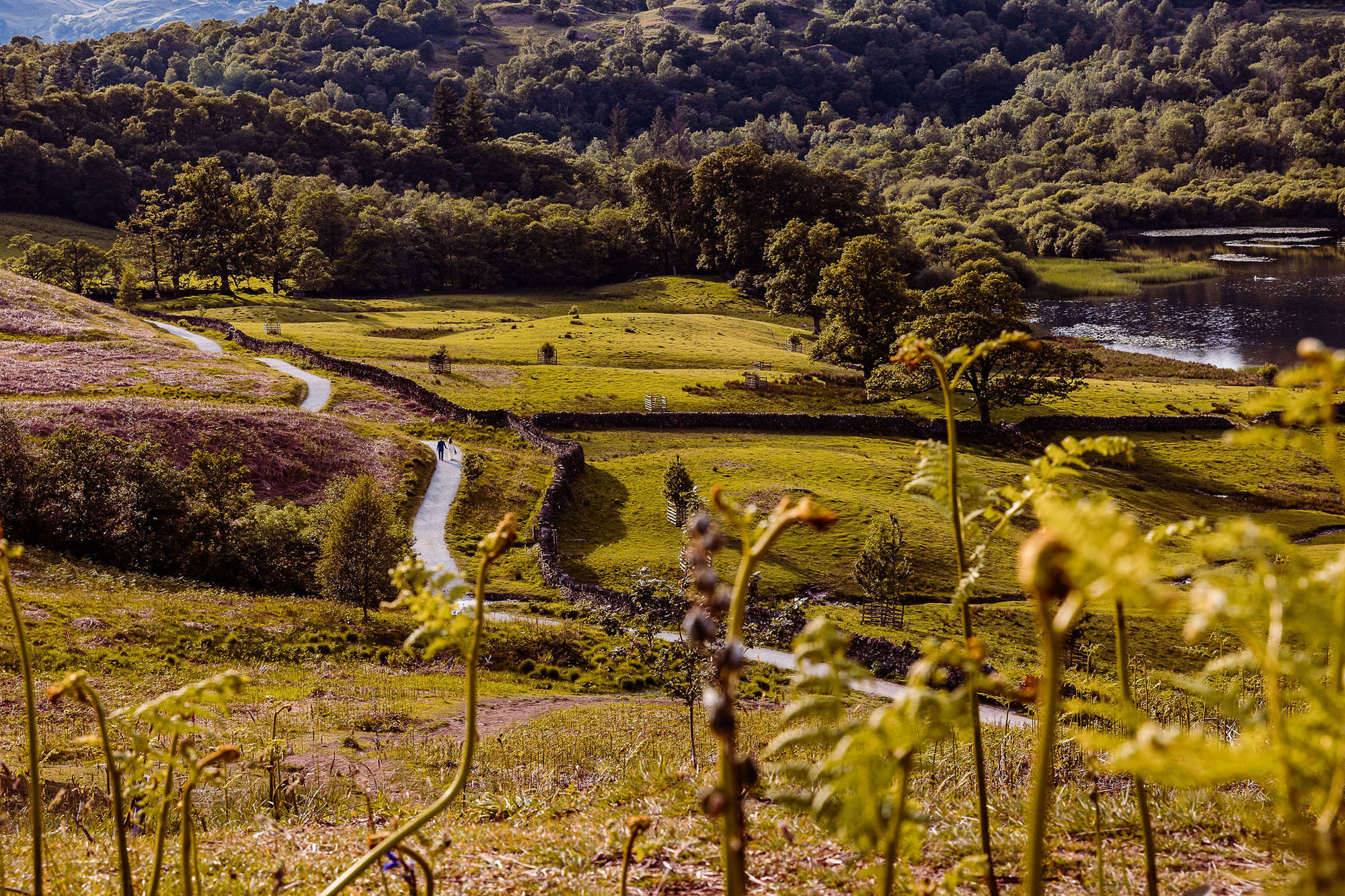 elopement in the Lake District by Mark Battista Photography | experienced Lakes wedding photographer
