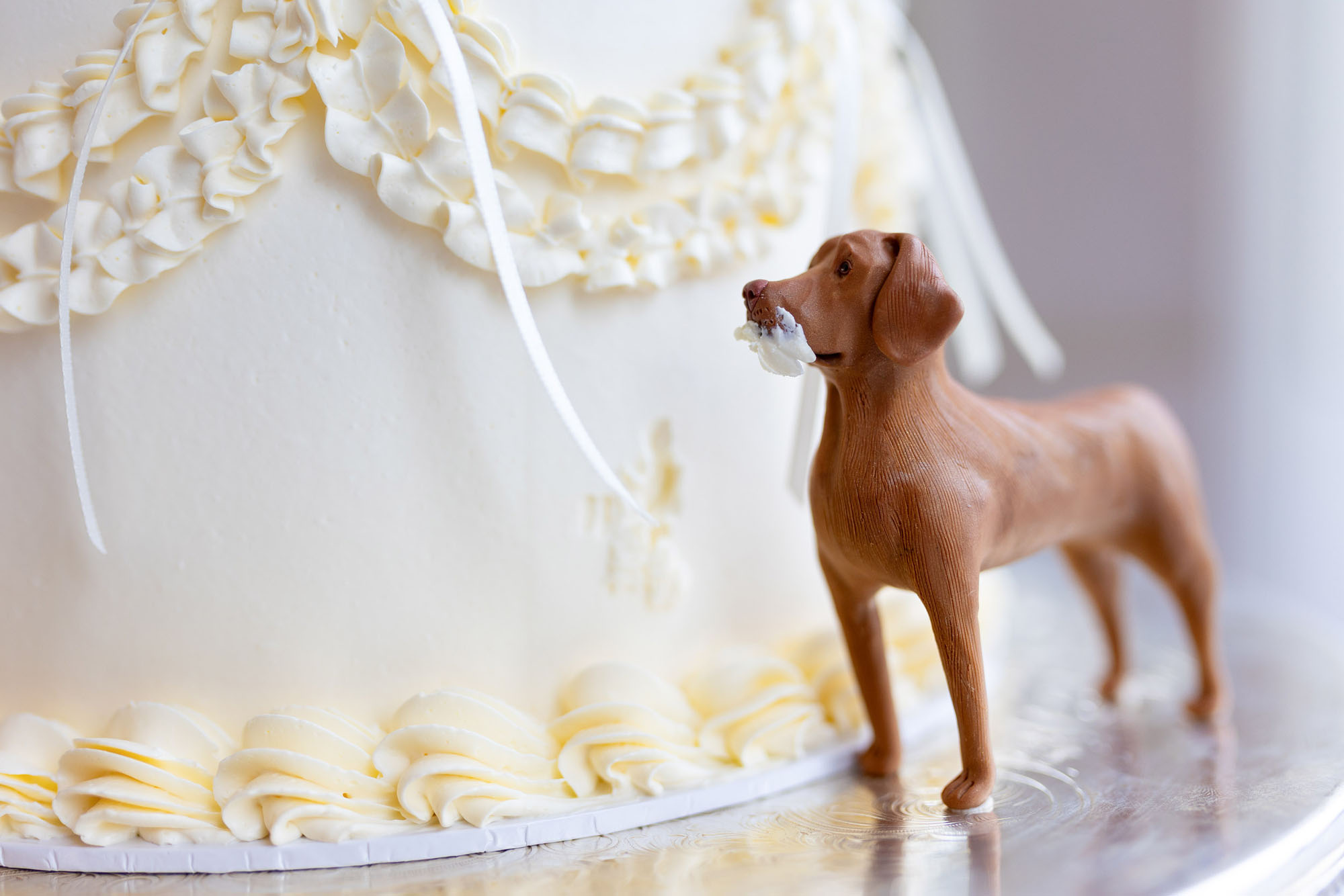 real wedding at Rockbeare Manor Devon | Martin Dabek Photography