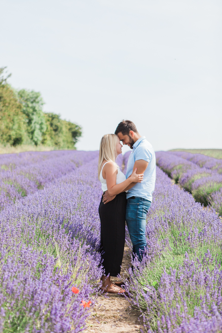 Beautiful UK lavender fields for engagement photography with Amanda Karen Photography (11)