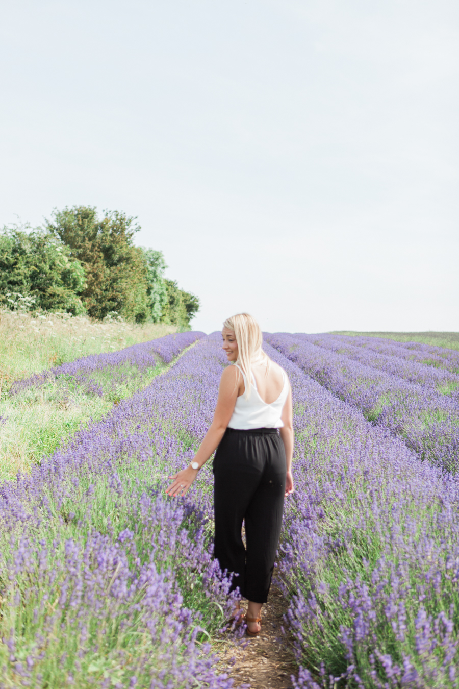 Beautiful UK lavender fields for engagement photography with Amanda Karen Photography (22)