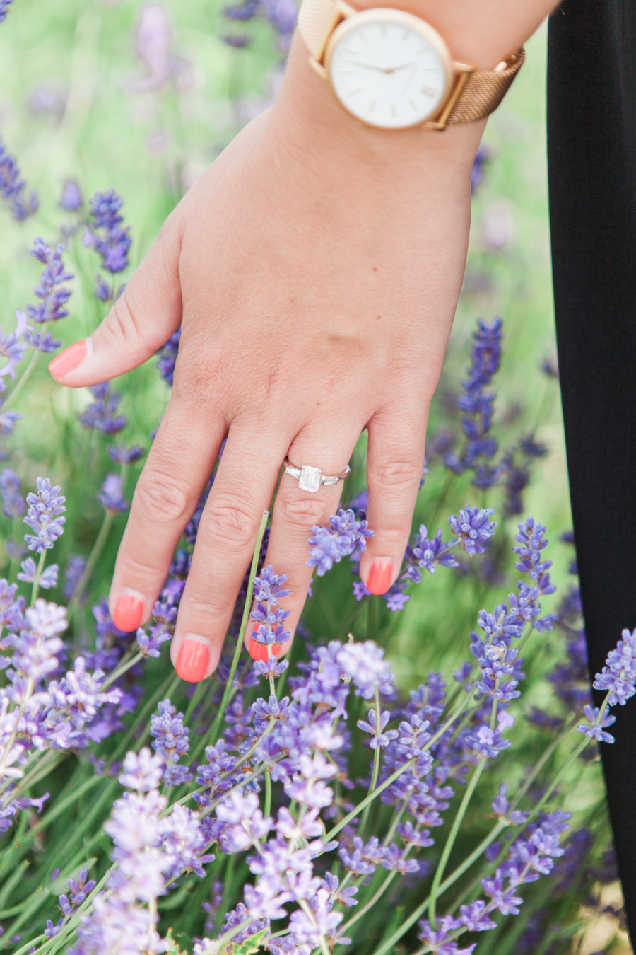 Beautiful UK lavender fields for engagement photography with Amanda Karen Photography (24)