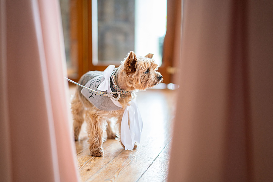 Emily & Joe's timeless and classic Lulworth Castle wedding, with Linus Moran Photography (19)