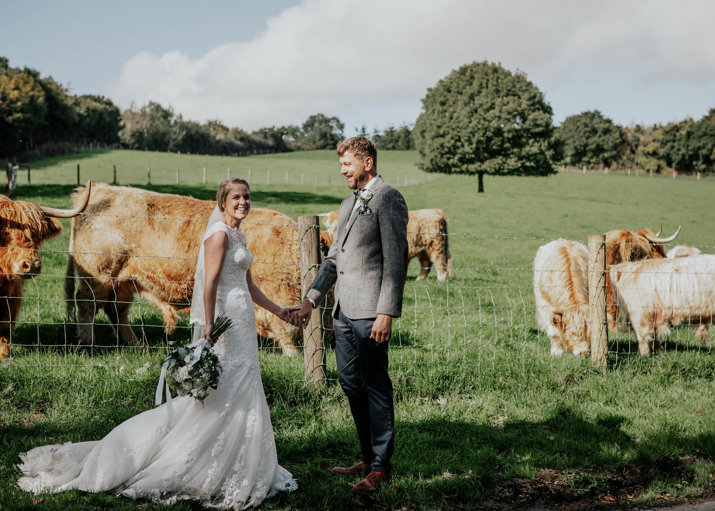 Bride and groom standing holding hands with cows behind them