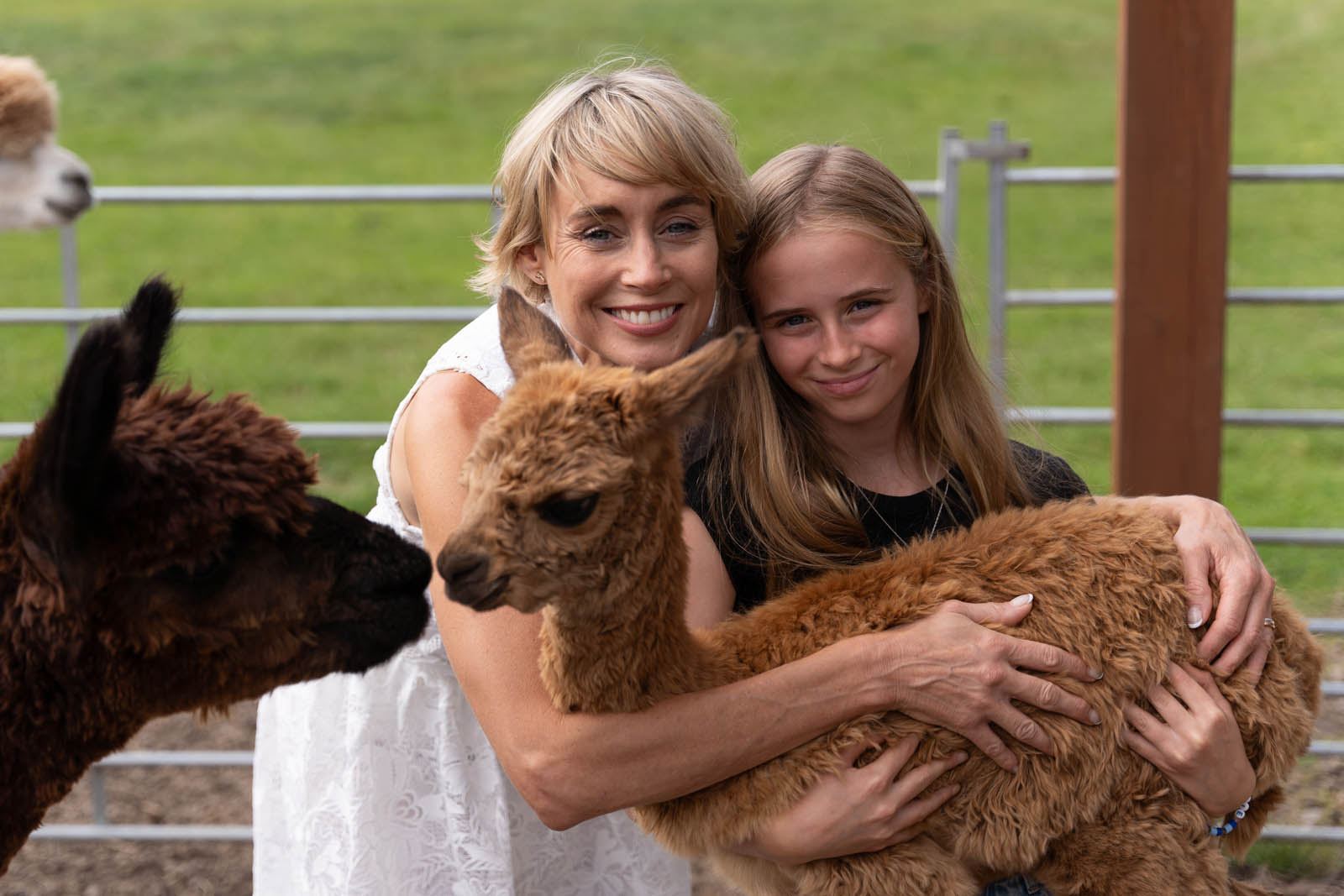 a bride and her daughter cuddle a young alpaca