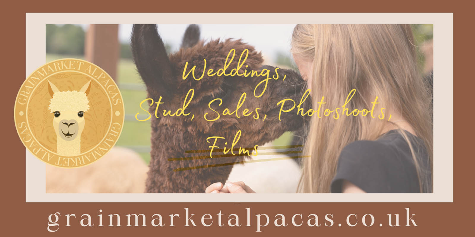grainmarket alpacas banner