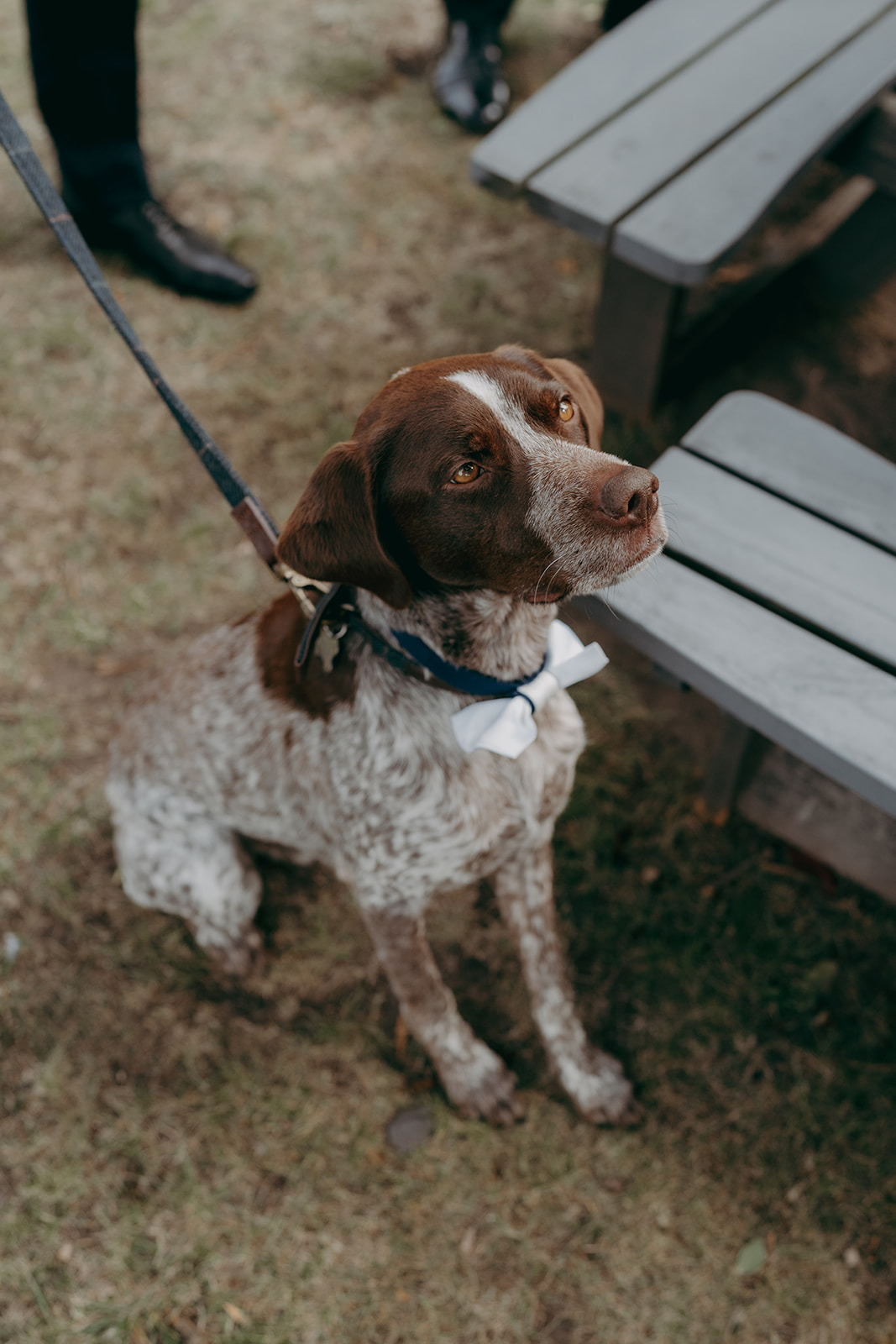 Photos from Tori and Dan's relaxed and natural wedding at Stock Farm Barn by Yorkshire photographer Joss Denham