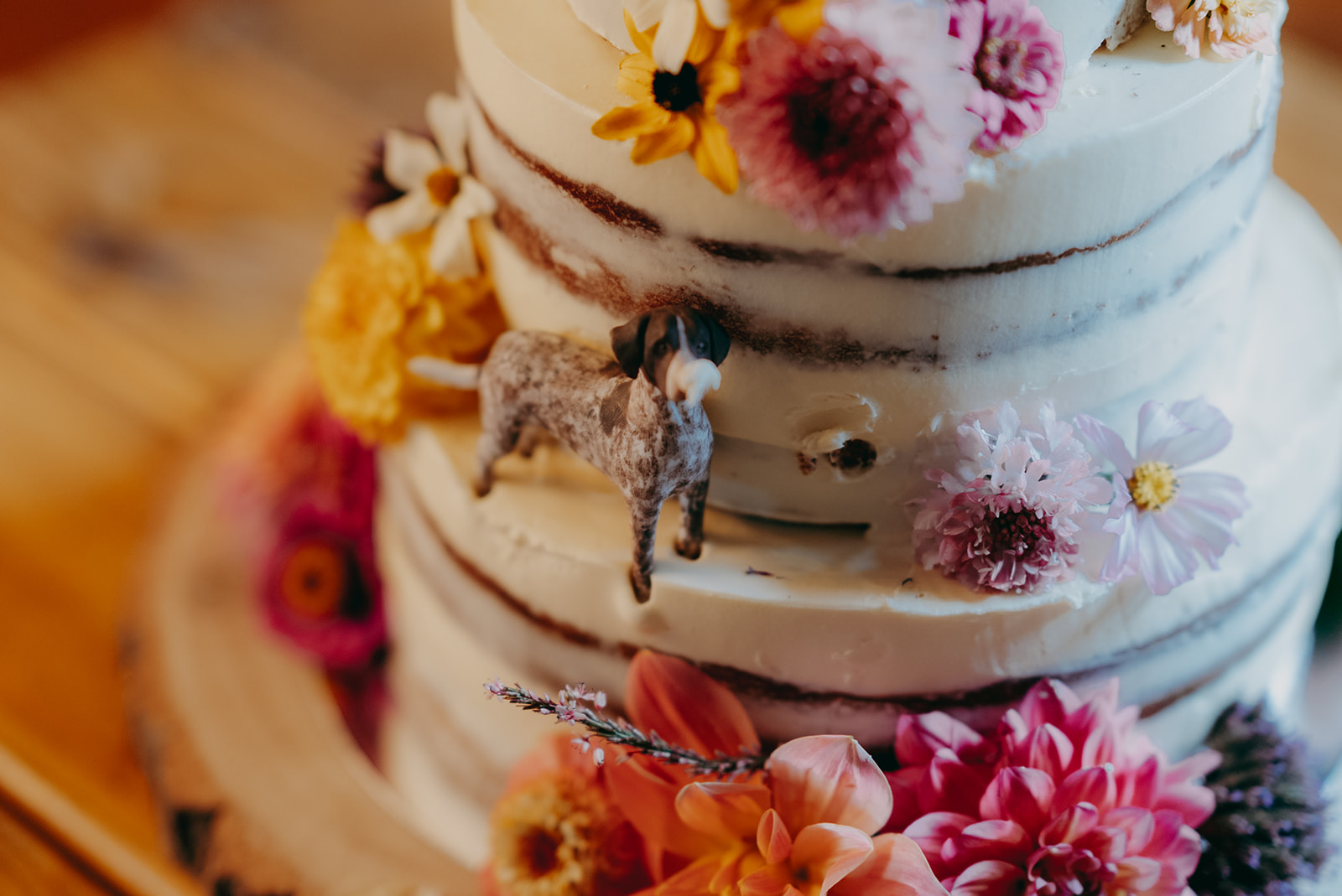 Photos from Tori and Dan's relaxed and natural wedding at Stock Farm Barn by Yorkshire photographer Joss Denham