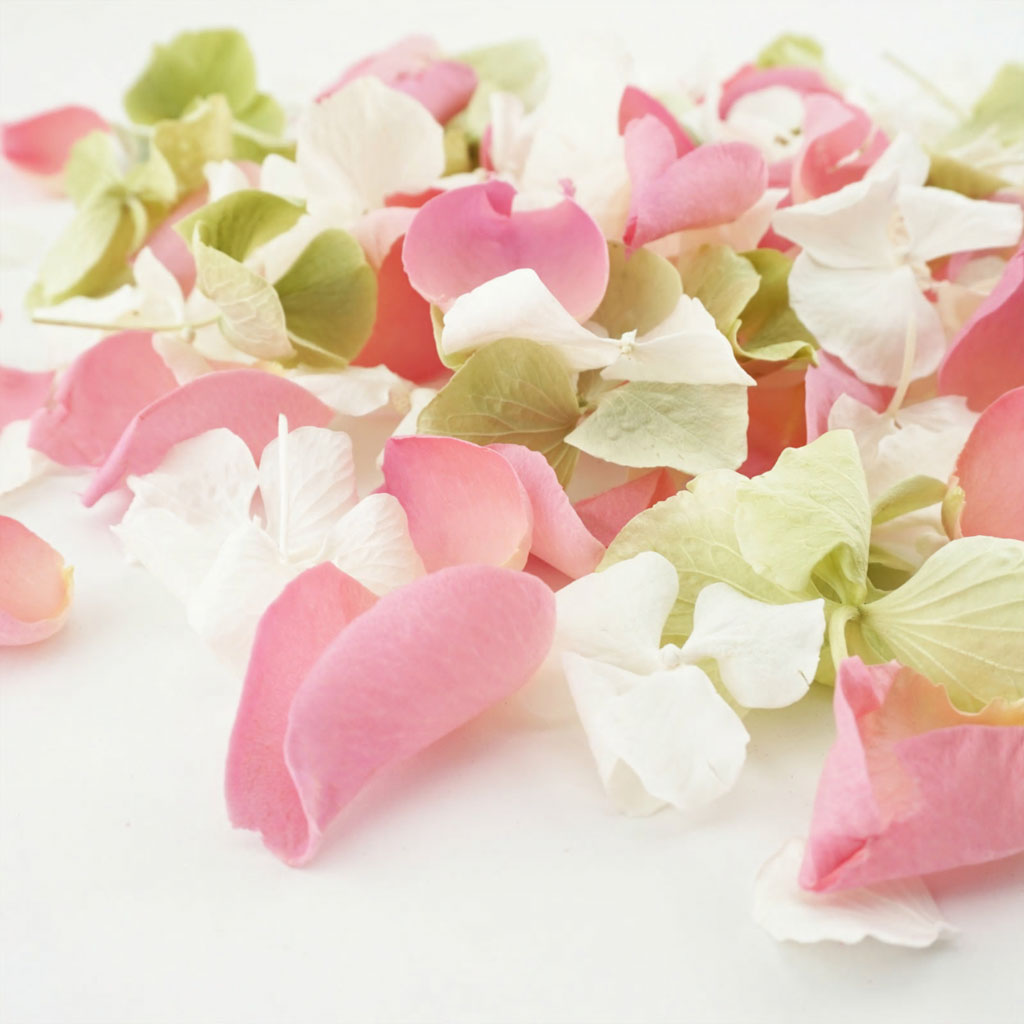 biodegradable confetti from The Dried Petal Company UK nationwide
