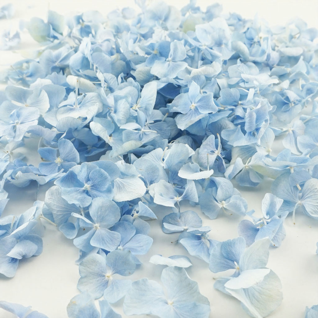 Aquamarine blue hydrangea biodegradable confetti UK