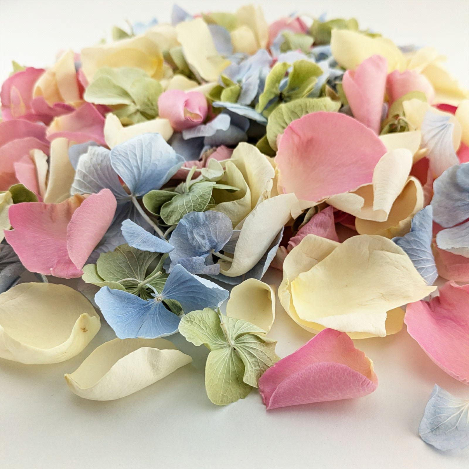 Colourful real petal confetti before it's freeze drieddried petal confetti UK | The Dried Petal Company