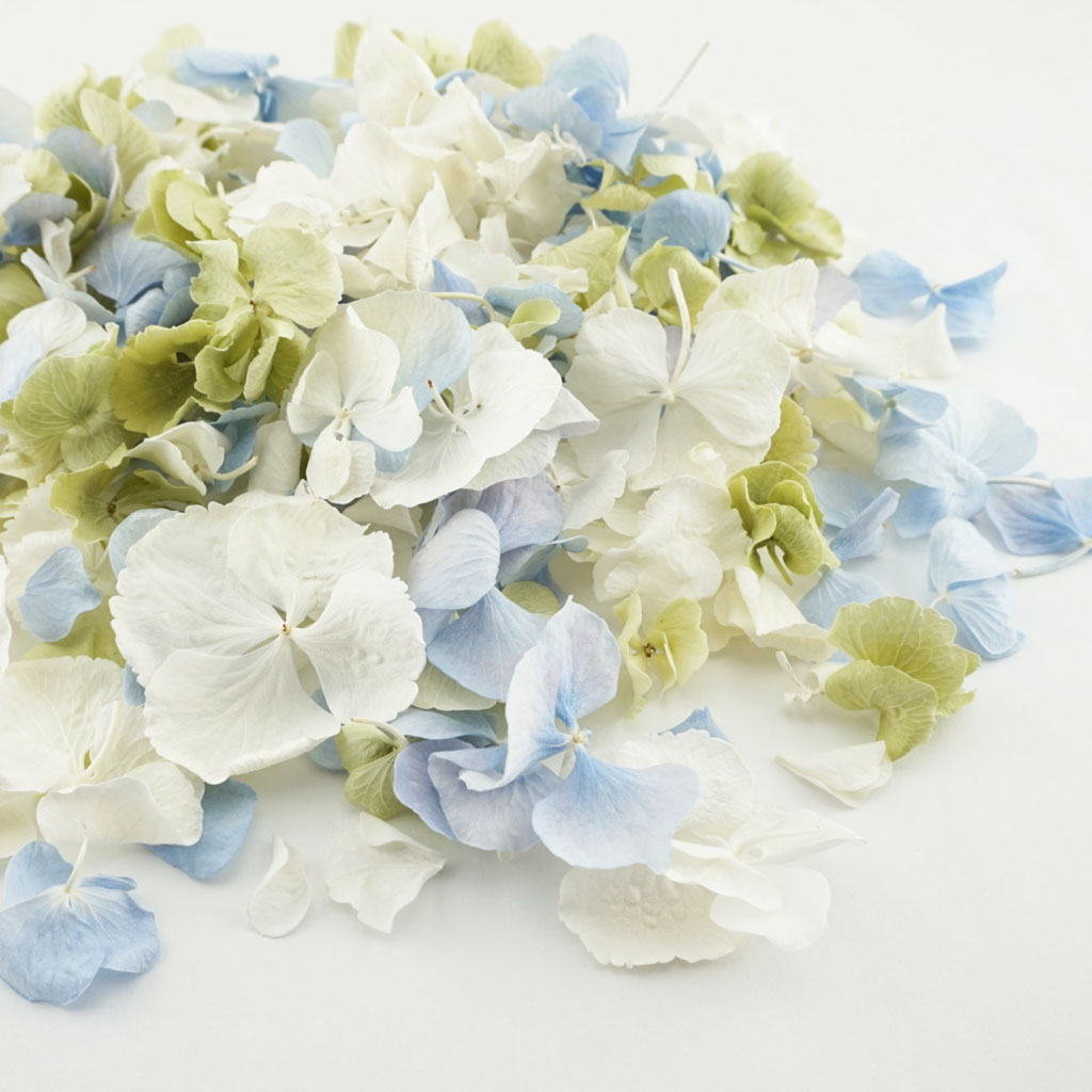 biodegradable confetti from The Dried Petal Company UK nationwide