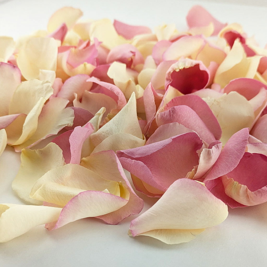 biodegradable confetti from The Dried Petal Company UK nationwide
